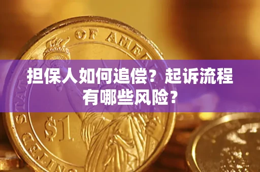 北京担保人如何追偿？起诉流程有哪些风险？