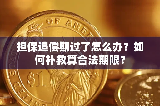 北京担保追偿期过了怎么办？如何补救算合法期限？