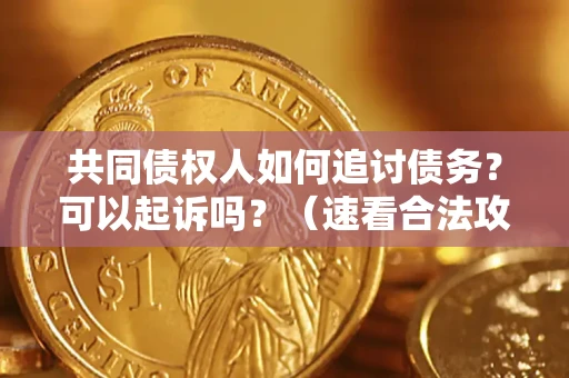 北京共同债权人如何追讨债务？可以起诉吗？（速看合法攻略）